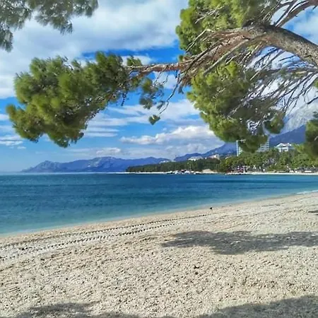 Ivana Makarska